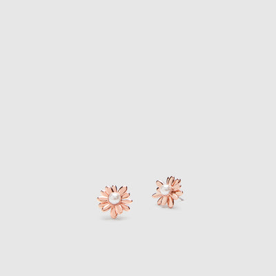 Expression Stud Earrings - Rose Gold