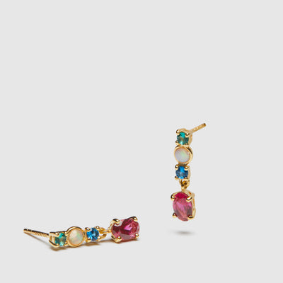 Swing Sterling Silver Earrings - Multicolour