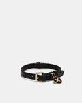 Pooch Medium Collar - Black Light Gold
