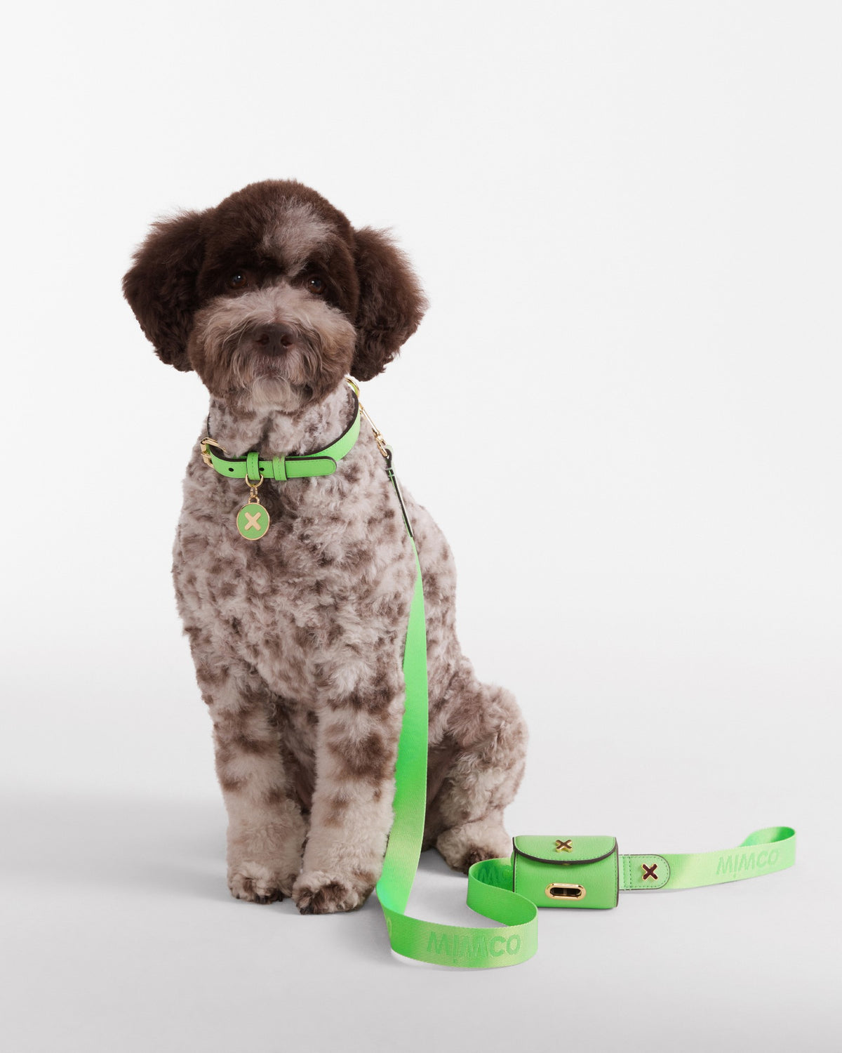 Pooch Medium Collar - Spiced Apple