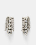 Glistening Earrings - Clear
