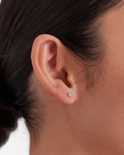 Everglade Earrings Gift Box - Silver