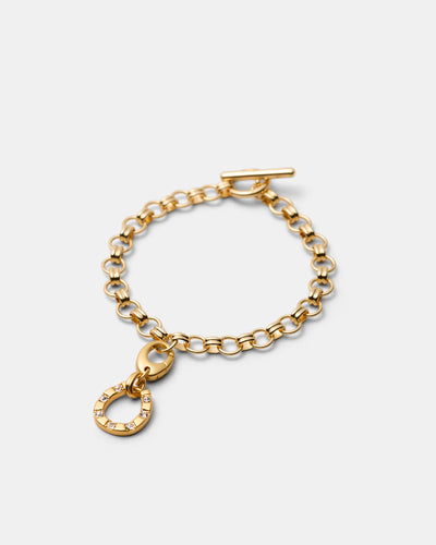 Horse Shoes Charm - Gold