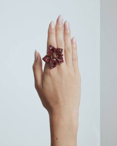 Vienne Ring - Bordeaux