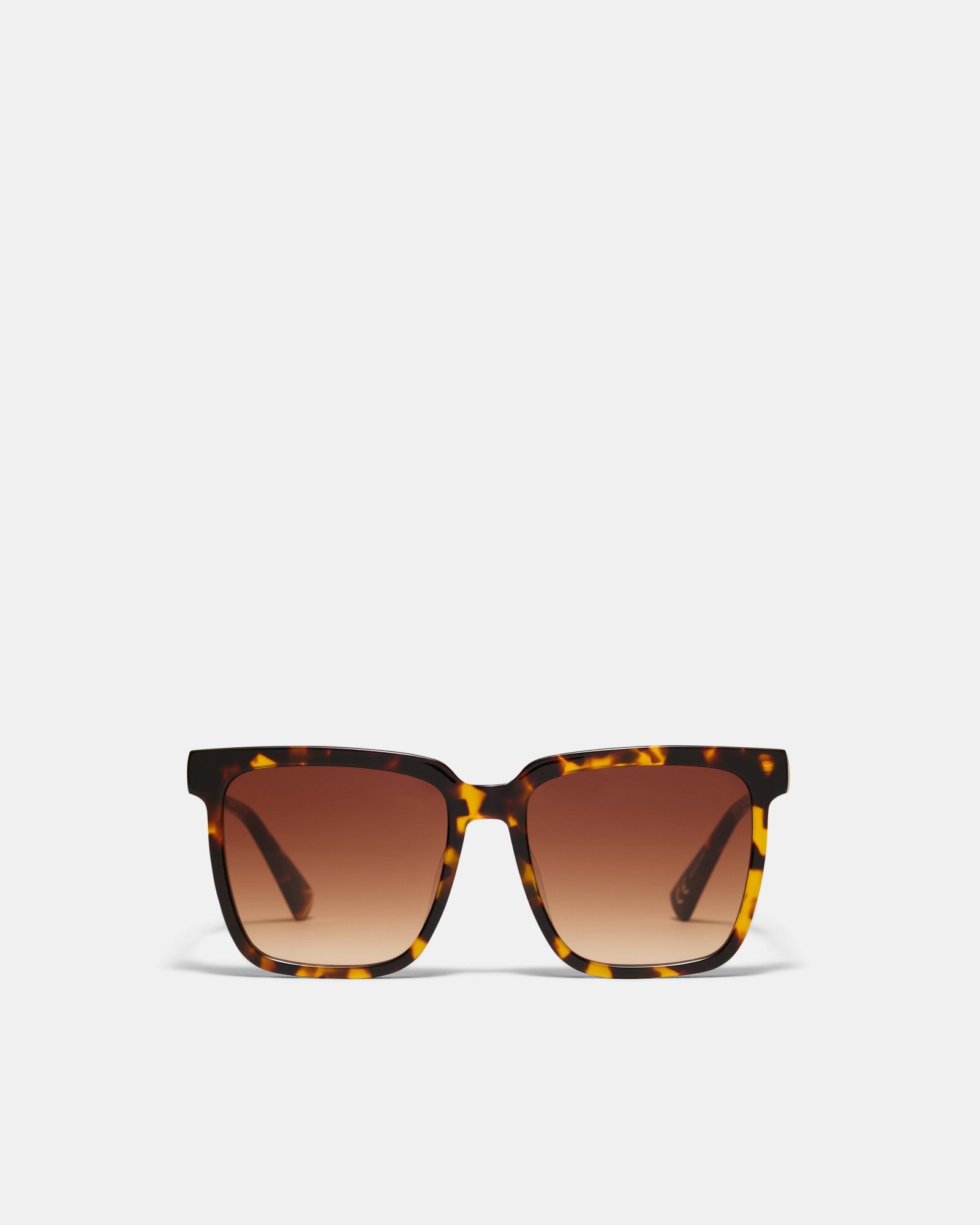 Dalton Sunglasses - Tort