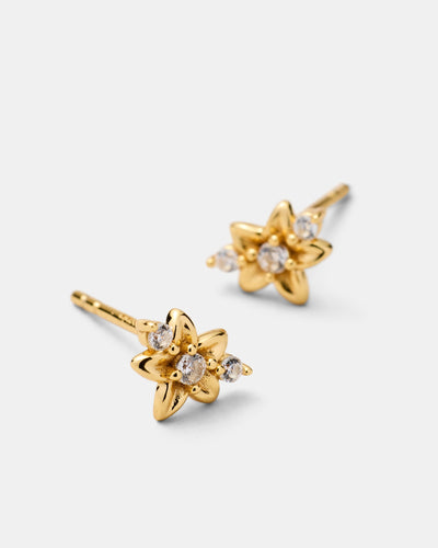 Asteria Stud Earrings - Gold