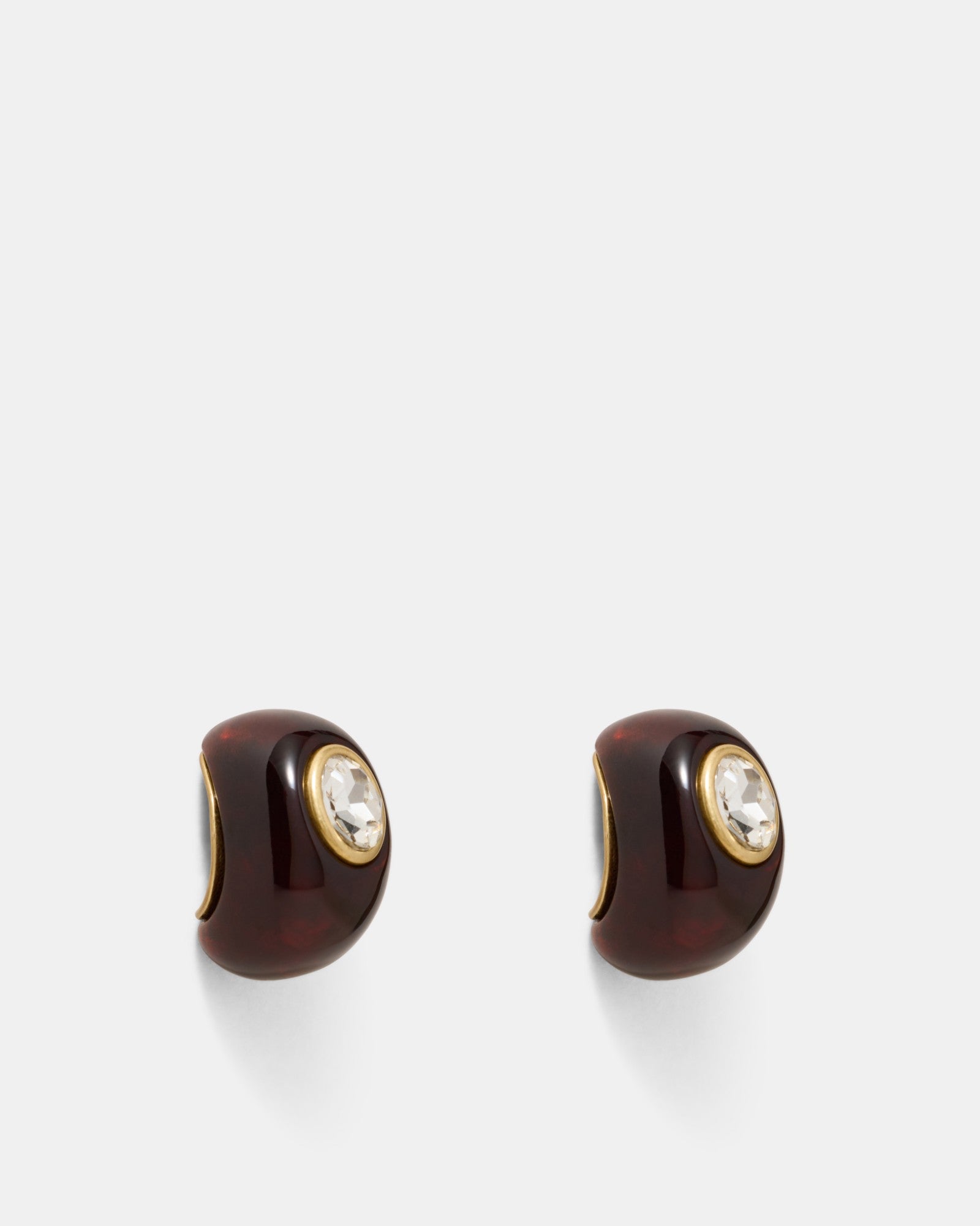 Destined Resin Hoop Earrings - Tort