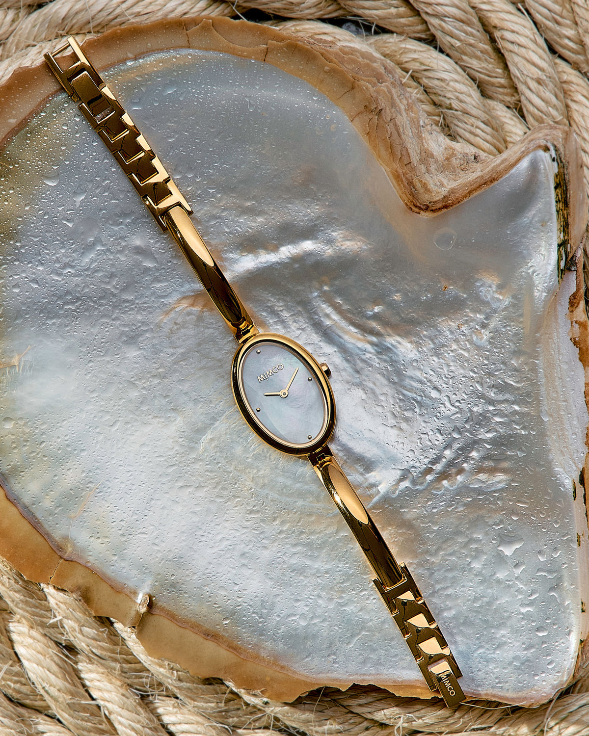 Halcyon Watch