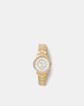Momentum Watch