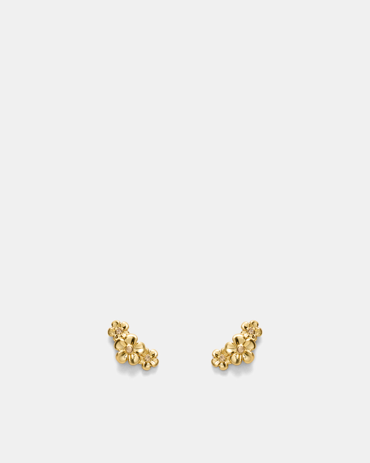 Garden Climber Stud Earrings - Gold